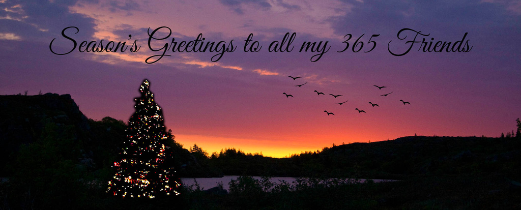 Seasons Greetings to all my 365 Friends by pdulis