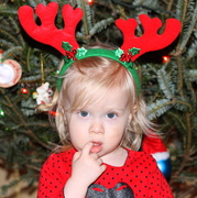 25th Dec 2013 - The littlest reindeer