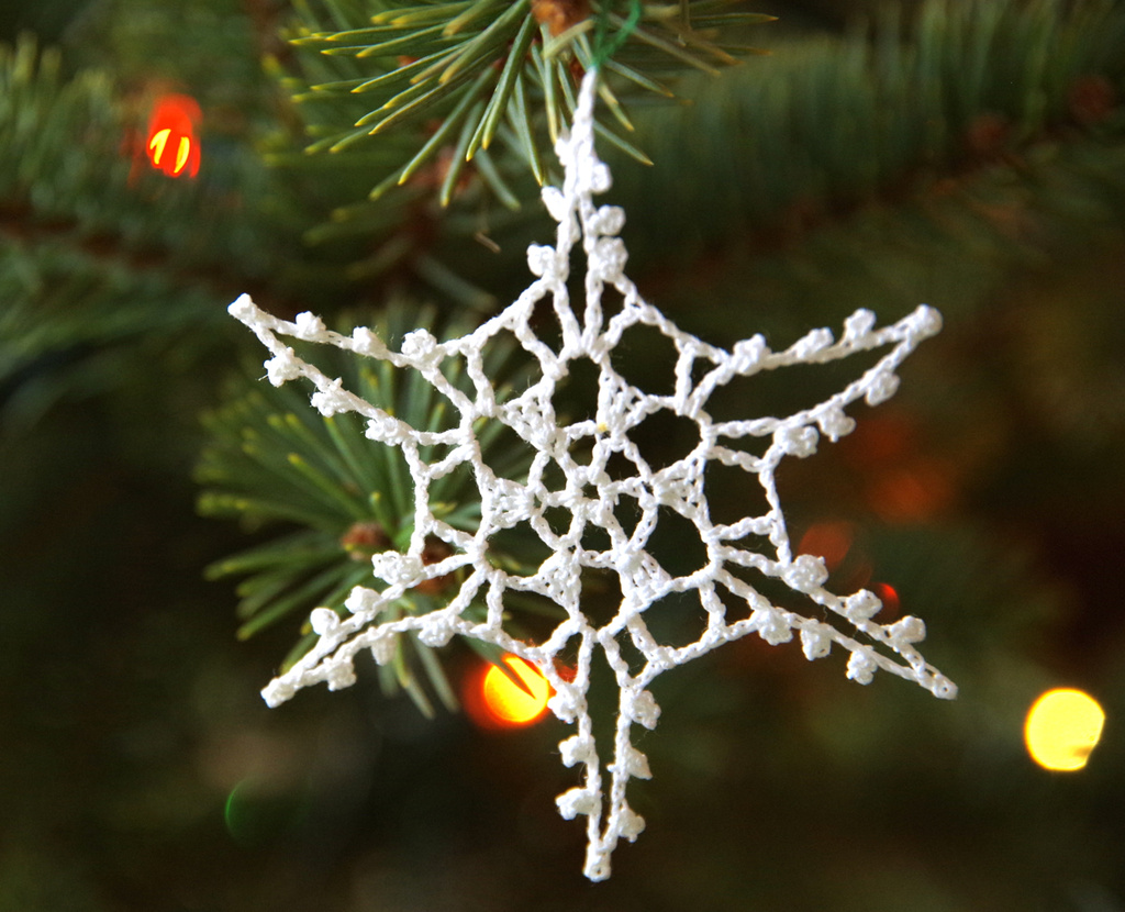 Snowflake on Tree by houser934