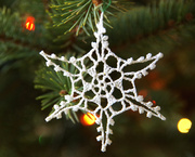 24th Dec 2013 - Snowflake on Tree