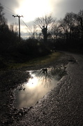 26th Dec 2013 - puddles