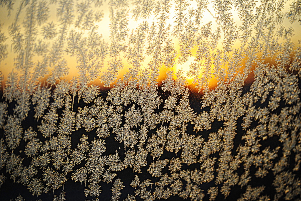 Frosty Sunrise by genealogygenie
