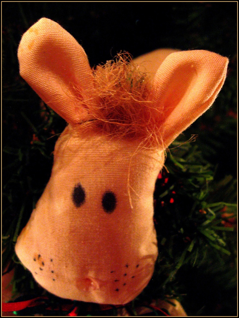 Little Donkey Face by olivetreeann