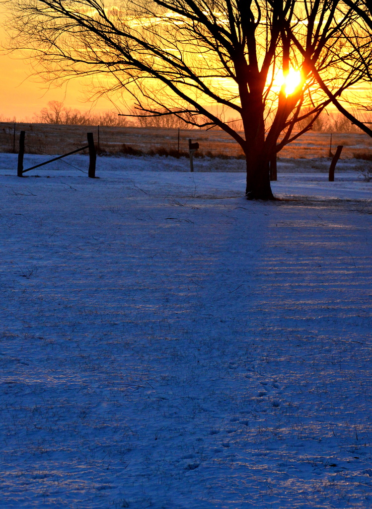 Kansas Christmas Sunrise by kareenking