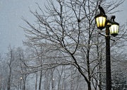 26th Dec 2013 - street lamps