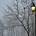 street lamps by summerfield