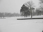 26th Dec 2013 - The park in a snow storm