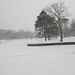 The park in a snow storm by joansmor