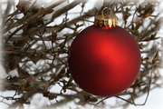 27th Dec 2013 - Red ornament 2