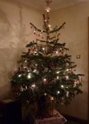 9th Dec 2013 - christmas tree