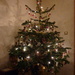 christmas tree by sarah19