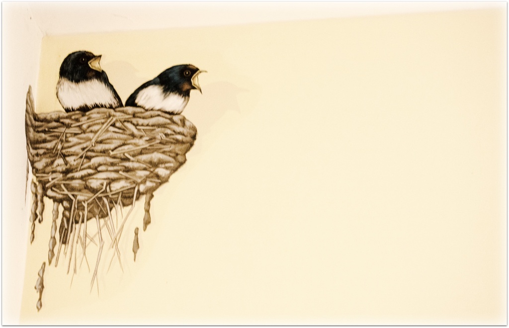 Winter swallows. by happypat