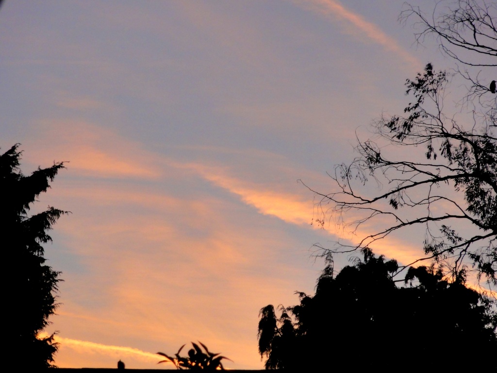 The morning sky  by beryl