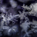 Snowflakes. by jgoldrup