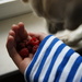 dog eat raspberries by inspirare