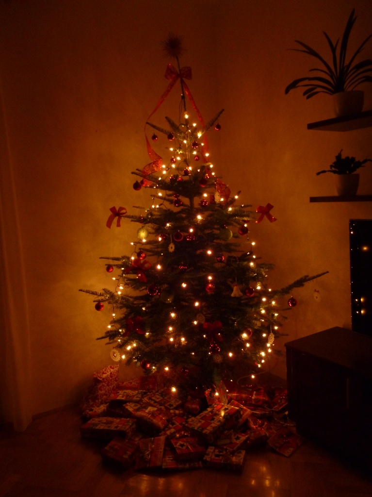 Christmas tree by gabis