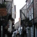The Shambles  by fishers