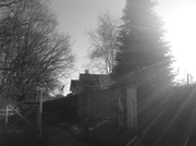 13th Jan 2014 - Sun through the trees at Lenwade Station