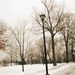 Park in snow by joansmor