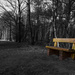 The Golden Bench by leonbuys83