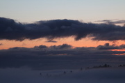 28th Dec 2013 - Foggy Sunrise