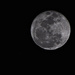 Moon Over Oahu by taffy