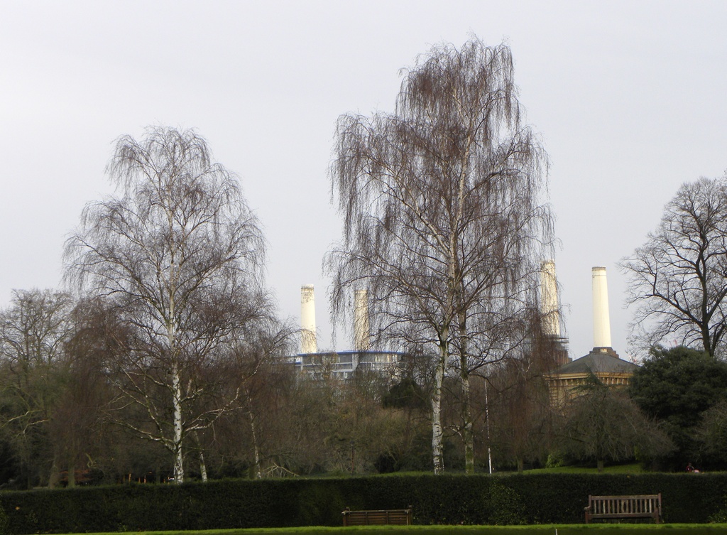 Battersea Park and Power Station by oldjosh