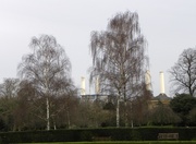24th Dec 2013 - Battersea Park and Power Station