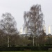 Battersea Park and Power Station by oldjosh