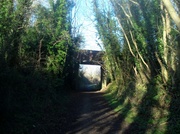 17th Jan 2014 - A Bridge on the Norwich Fakenham Line
