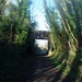 A Bridge on the Norwich Fakenham Line by motorsports