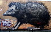 28th Dec 2013 - Hedgehog