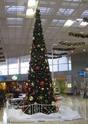 17th Dec 2013 - Christmas Tree in Eurotunnel Duty Free Building, Calais