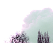 15th Dec 2013 - Cotton Ball Clouds