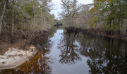 28th Dec 2013 - Main stem, Four Holes Swamp, Dorchester County, SC