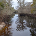 Main stem, Four Holes Swamp, Dorchester County, SC by congaree