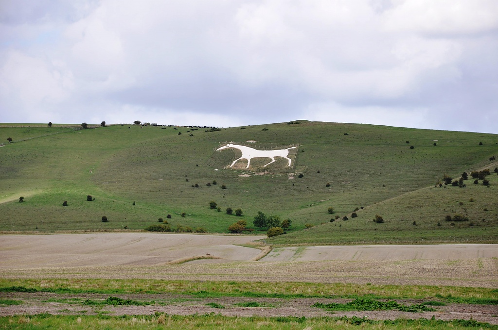 White horse by overalvandaan