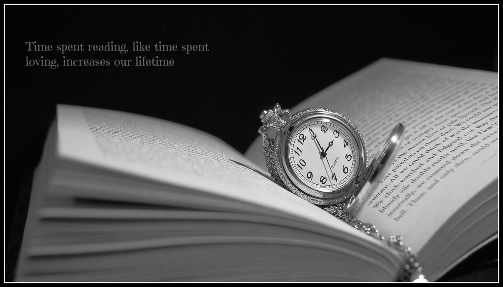 Time spent reading.. by bizziebeeme