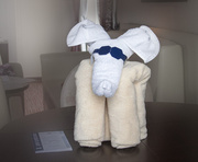 13th Dec 2013 - Towel Elephant