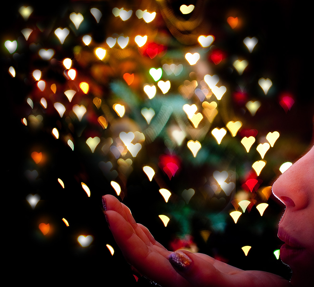 30.12.13 Bokeh Love by stoat