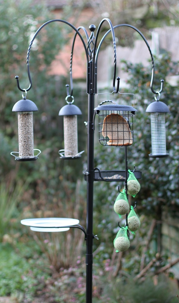 Bird feeding station..... by anne2013