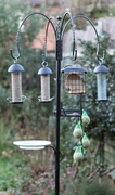 29th Dec 2013 - Bird feeding station.....