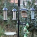 Bird feeding station..... by anne2013