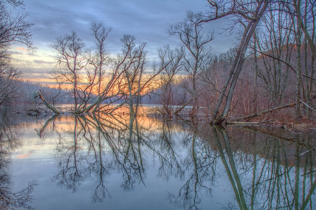 Reflections of 2013 by sbolden