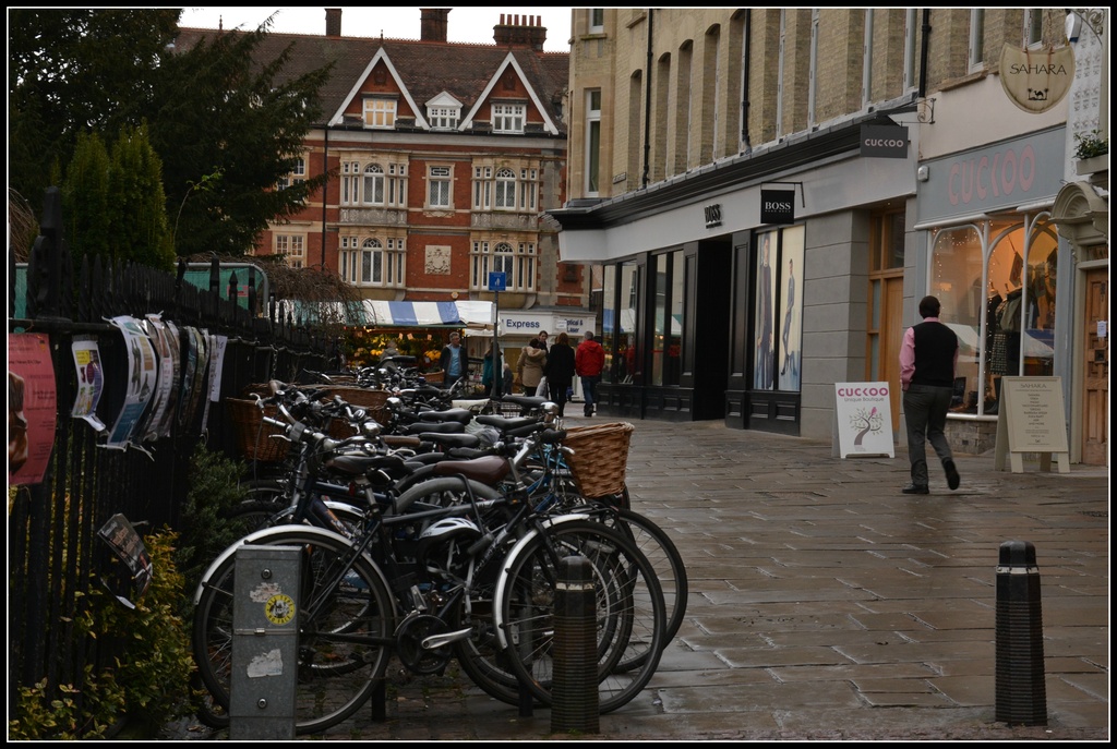 Where would Cambridge be without bikes? by rosiekind