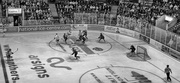 31st Dec 2013 - Ice Hockey