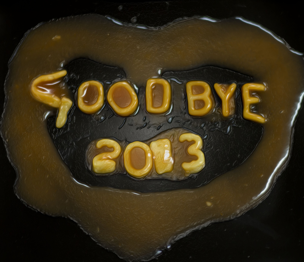 Goodbye 2013 by shepherdmanswife