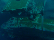 4th Sep 2013 - Wreck Plymouth Aquarium.