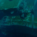 Wreck Plymouth Aquarium. by denidouble