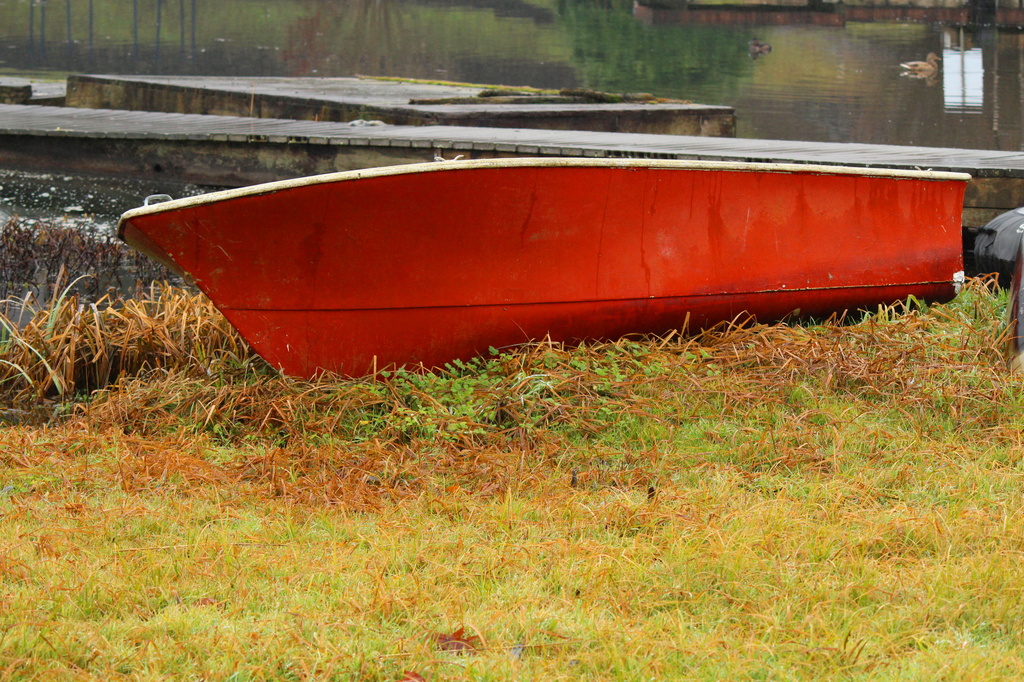 Orange Row Boat by nanderson